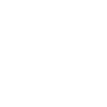 skiill fly (1)